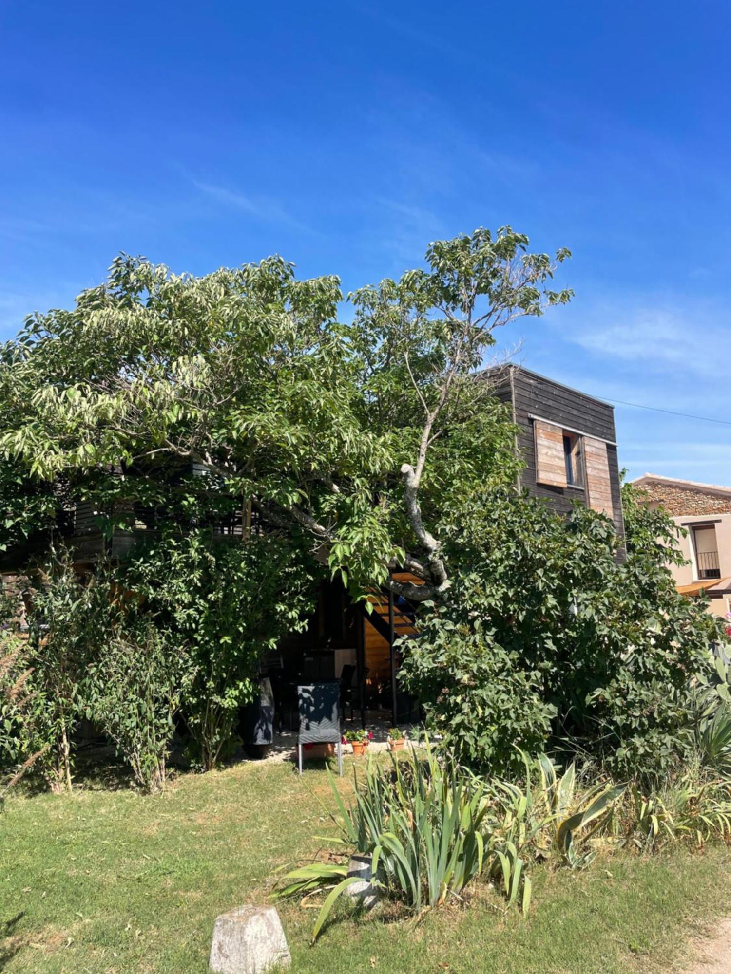 Villa Maison en bois , vue sur le ventoux à Bédoin Extérieur photo